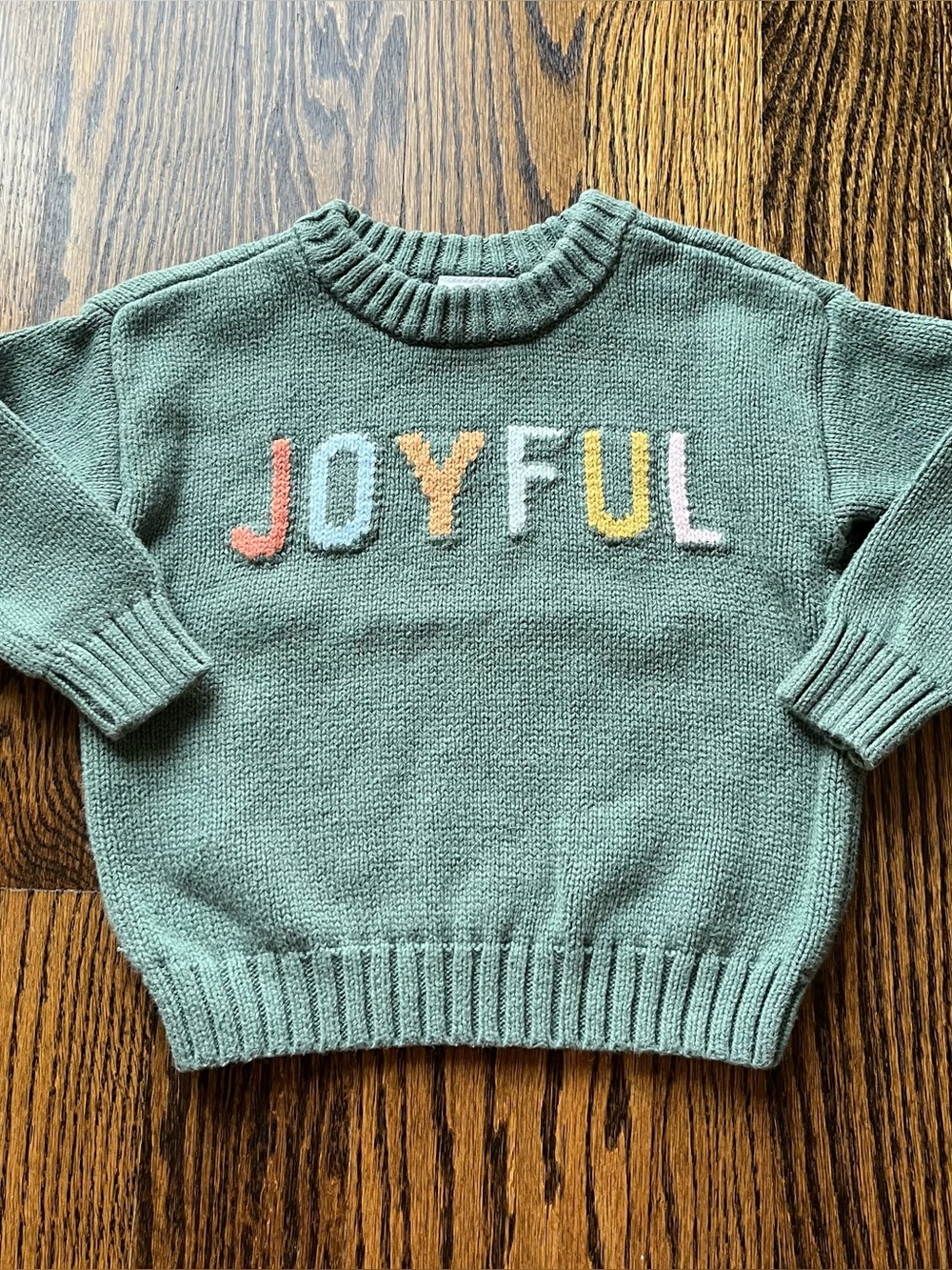 Little Co. Green "JOYFUL" Knit Sweater (18-24M)
